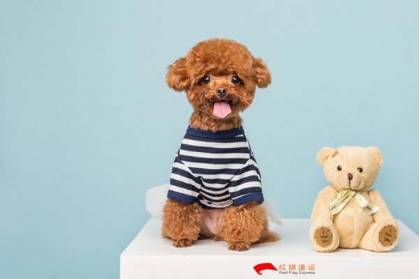 疫情期間香港商品如何轉(zhuǎn)運到湖北隨州呢？