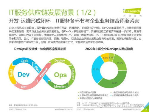 2021年中國IT服務供應鏈數(shù)字化升級研究報告 網(wǎng)絡技術服務領域深度解析